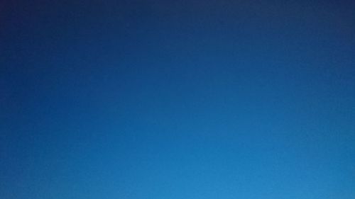 Low angle view of tree against clear blue sky