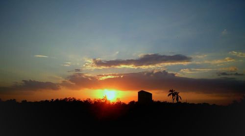 Silhouette trees against sky during sunset