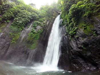 Scenic view of waterfall in forest