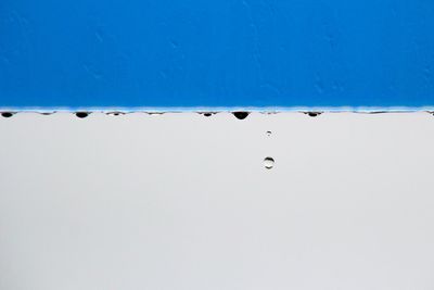 Close-up of water drop