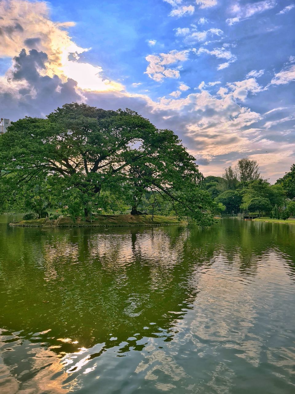 SCENIC VIEW OF LAKE AND TREES AGAINST SKY