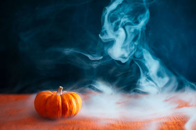 Close-up of pumpkins