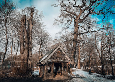 Bare trees in front of abandoned house in forest