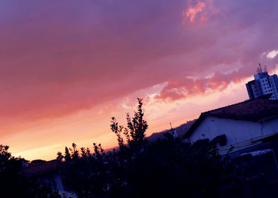 Low angle view of silhouette trees against sky at sunset