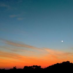 Low angle view of silhouette trees against sky at sunset