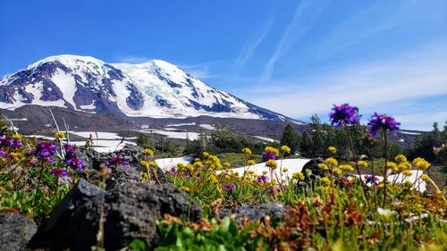Scenic view of snowcapped mountains against sky