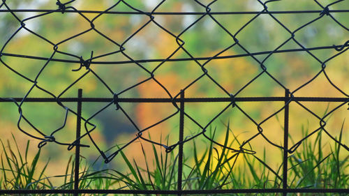 Full frame shot of chainlink fence
