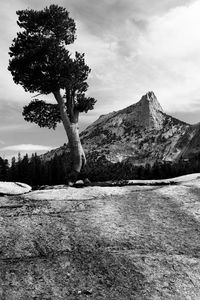 Scenic view of trees by mountains against sky