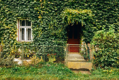 Entrance of building