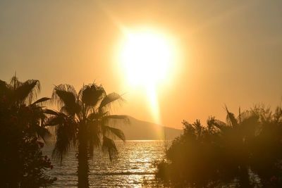 Silhouette palm trees by sea against sky during sunset