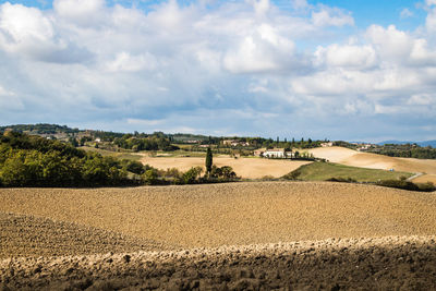 Scenic view of agricultural field against sky