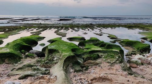 Rocks on beach against sky