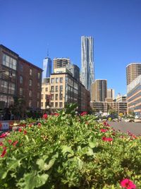 Plants growing against clear blue sky