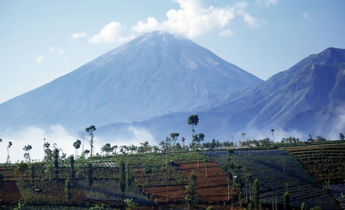 Mountain view or plateau - farmland on a mountainside with bright blue sky