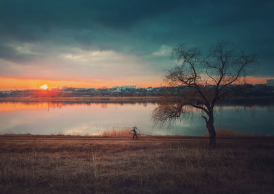 Rural landscape, sunset over lake, a bare willow tree on dry meadow and a wanderer carry firewood.