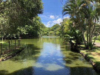 Scenic view of lake by trees against sky