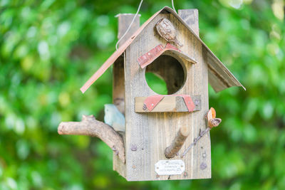 Close-up of birdhouse hanging on tree