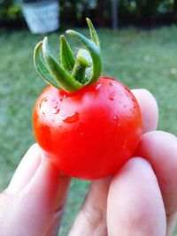 Close-up of hand holding strawberry