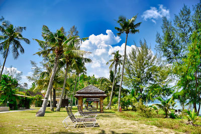 Gazebo amidst trees on field against sky