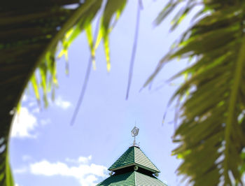 Low angle view of palm tree and building against sky