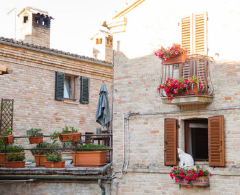 Potted plants on balcony of house