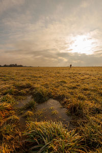 Scenic view of field against sky during sunset