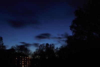 Low angle view of trees against sky