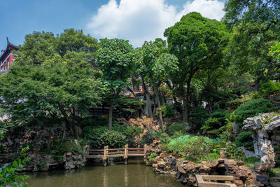 Scenic view of lake in forest against sky