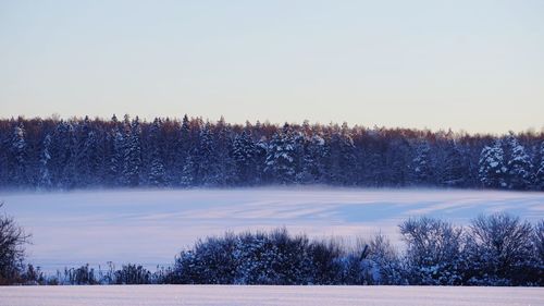 Scenic view of snowy field against sky during winter