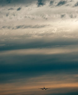 Low angle view of airplane flying in sky