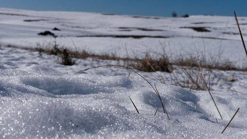 Close-up of snow covered land