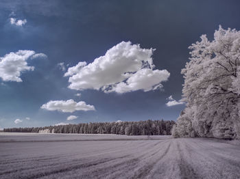 Scenic view of snowy field against sky