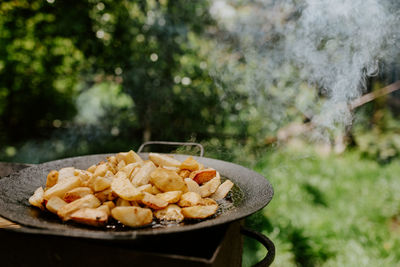 Close-up of food