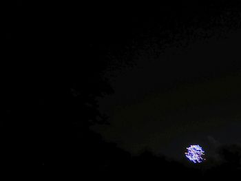 Low angle view of illuminated tree against sky at night