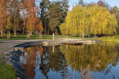 Scenic view of stromovka public park in prague in autumn