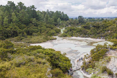 Scenic view of river amidst trees against sky