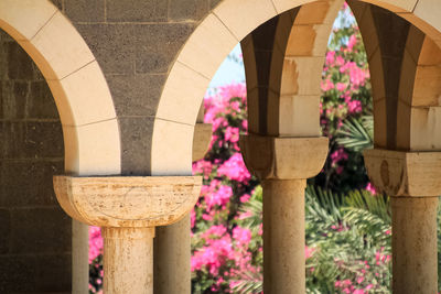 Close-up of pink flower pot on building