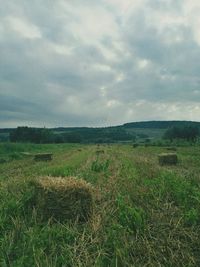 Scenic view of field against sky