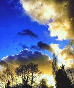 Low angle view of silhouette trees against blue sky