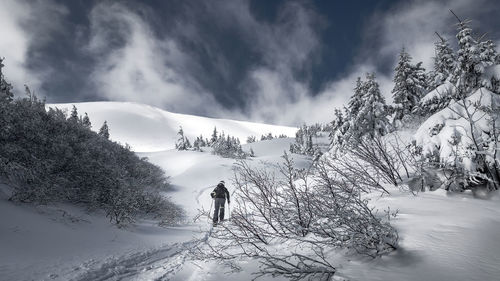 Scenic view of snow covered mountain against sky