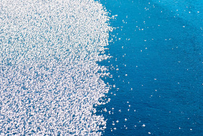 Surface of a frozen lake, half covered with snowflakes, half blue