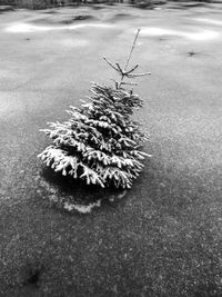 Close-up of snow