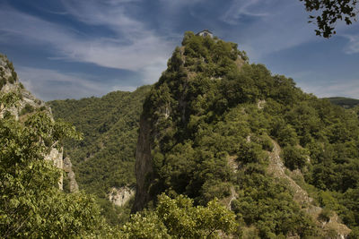 Low angle view of trees on mountain against sky