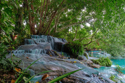 Scenic view of waterfall