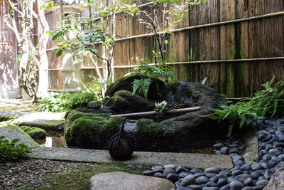 Surface level of stream in garden