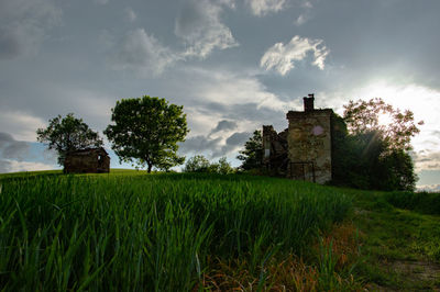 Old ruin building on field against sky