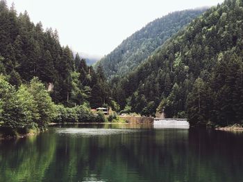 Scenic view of lake in forest against sky