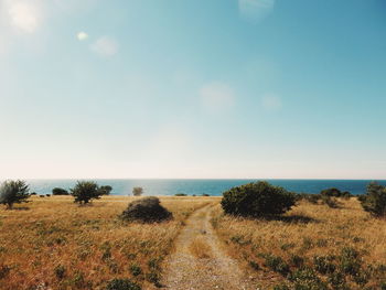 Footpath leading towards sea against sky