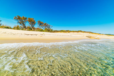 Scenic view of sea against clear blue sky