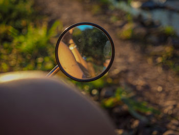 Close-up of sunglasses against trees